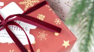 Burgundy Velvet Ribbon 3/8 Inch Single Face Thin Velvet Ribbon for Gift Wrapping Maroon Ribbon for Christmas Decoration Wedding Ribbon for Hair Bows Choker Cafts Bouquet - 25 Yards