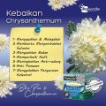 BLUEPEA AND CHRYSANTHEMUM SUPERCUBE KUCATE MOLASSES HERBS DRINK READYSTOCK FAST SHIPPING. 