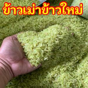 ข้าวเม่าสด ข้าวเม่าข้าวใหม่ ข้าวเม่าอ่อน .3กก