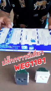 Panasonic เต้ารับกราวด์เดี่ยว มีม่านนิรภัย WEG 1181 สีขาว สีเทา Wide SERIES ปลั๊กเดี่ยว ปลั๊ก