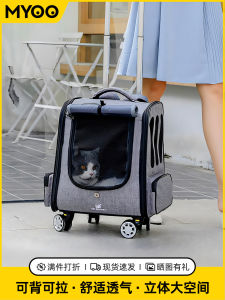 Large Capacity Pet Travel Bag Cat Dog Backpack Portable Outing Bag for Small Dogs And Cats Myoo Brand DD-00456 Non Waterproof