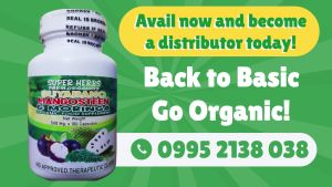 FOOD SUPPLEMENT CAPSULES - HERBAL 3 IN 1 GUYABANO MANGOSTEEN AND MORINGA