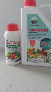 (COMBO) Trừ Bệnh Héo Xanh Thối Cổ Rễ Chết Nhanh Chết Chậm - VÔI SỮA Và PSEUDO BACILLUS