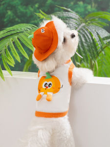 hipidog | Mũ Áo Dài Mùa Hè Phong Cách Hippie Cho Thú Cưng