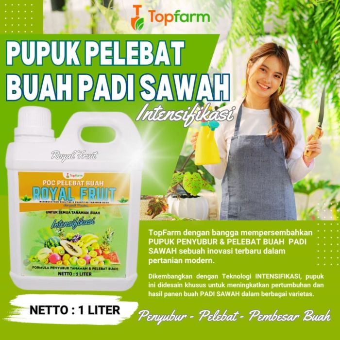 Pupuk Padi Pelebat Buah / Pupuk Padi Sawah Terbaik / Pupuk Padi Semprot ...