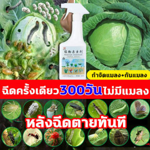 หลังฉีดตายทันที แมลง ยากำจัดแมลงพืช 500g ยาฆ่าแมลง ยากำจัดหนอน สารกำจัดแมลง ยาฆ่าแมลงกินใบ ยากำจัดเพลี้ย ยาฆ่าเพลี้ย หนอน มด เกษตร สวน เพลี้ยไฟ เพลี้ยกระโดด แมลงหวี่ขาว พลี้ยแป้ง กำจัดแมลงได้กว้างขวาง อะซีทามิพริด หนอนชอนใบ อะบาเม็กติน ย