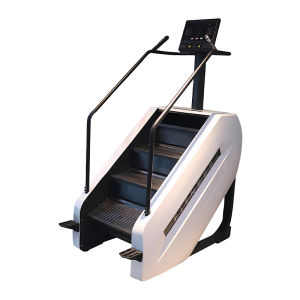 SHENWO | Silent Large Commercial Home Stair Climber