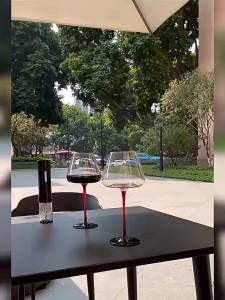 Luxury Burgundy Red Wine Glass Set