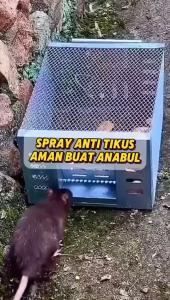 BACUYA Semprotan Aromatic Spray Pengusir Tikus