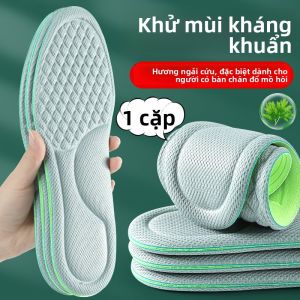 JIFANPAUL | Đệm Lót Giày Hút Ẩm Kháng Khuẩn Thoáng Khí Cho Nam