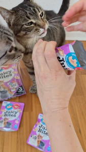[NHẬP KHẨU THÁI - COMBO 2 GÓI] JUICY BITES Bánh Thưởng Cho Mèo🐈 Nhiều Vị Lựa Chọn - Bổ Dưỡng Cho Boss Yêu