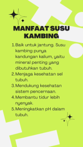 Paket 4 Box Skygoat Susu Kambing Etawa Rasa Original Membantu Memelihara Kesehatan