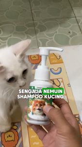 Holycatlabs Glowcat Shampoo All In One Kucing 50ml