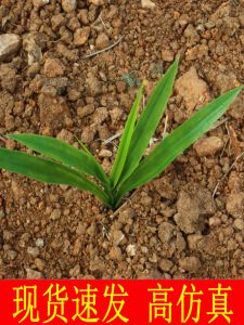 Plastic Leaf Artificial Corn Plant High Simulation Cereal Decorative Fake Flower Home Decoration Vase Arrangement