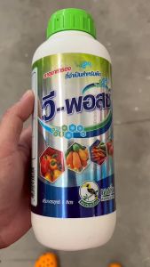 ***ขายยกลัง*** วีพอสซ์ 1 ลิตร ยกลัง 12 ขวด วีฟอส ต้านไวรัสพืช มีกรดอะมิโน ธาตุอาหารรอง ธาตุอาหารเสริม และซาลิไซเลต กระตุ้นภูมิต้านทานพืช