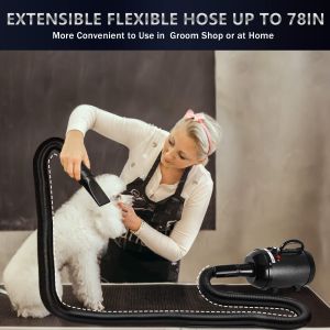 Teekland Pet Hair Dryer: A High Wind Power Low Noise Solution