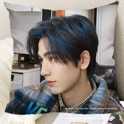 Double-Sided Celebrity Pillow Zhang Linghe Bedroom Throw Pillow Friends Birthday Gift Student Dormitory Cushion Modern Simple Style PP Cotton Core