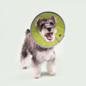 Post-Operative Elizabethan Collar for Cats And Dogs Spay Neuter Recovery Pet Care Anti-Lick Bite Prevention Comfortable Size