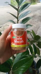 Herbal Bubuk Jahe Merah 50gr Premium / Serbuk Jahe Merah Pure Tanpa Campuran