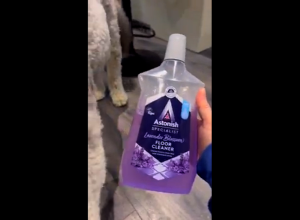 Astonish Specialist C6110 Concentrated Floor Cleaner Lavender Blossom Dirt Repelling Technology 1 Litre