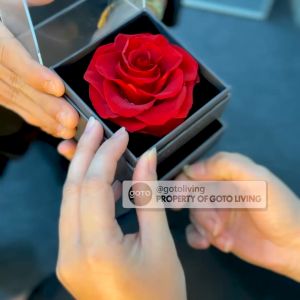 Goto Alexa Gift Box Bunga Mawar Kalung Liontin Kotak Kado Aesthetic