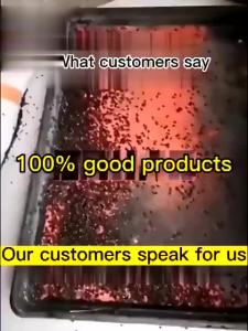 Fly Killer Bait Powder 10pcs Bag 20 Seconds Fast Action Fly Trap Powerful Fly Attractant Granules Fruit Fly Control Medicine Long Lasting Insect Repellent for Home Kitchen Poultry