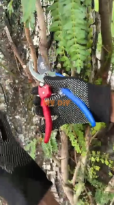 MYDIYHOMEDEPOT - SALI 8" Heavy Duty SK85 Pruning Shears Garden Shears Cutter Garden Scissor Snip Gunting Untuk Tumbuhan