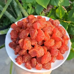 3F Food Dried Soft Strawberries In Ziplock Pouch (Organic No Sugar Added ) Healthier Dry Snacks