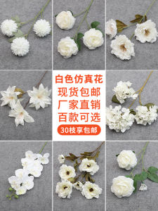 Đạo Cụ Hoa Cưới Hoa Hồng Hoa Lụa Hoa Giả Đạo Cụ Trang Trí Nhà Đạo Cụ Hoa Cưới Hoa Lụa Hoa Phong Cách Hiện Đại Trang Trí Nhà