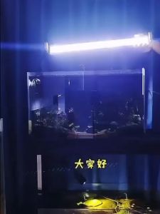 Aquarium LED Plant Light~~ fish lamp Led light lampu aquarium 3 水族箱 LED 植物灯蓝白（READY STOCK)