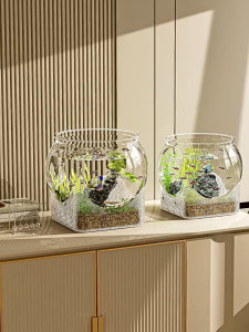 Fish Bowl PET Aquarium Tanks Transparent Round Fish Tank Ecological Aquarium for Fishes Amphibians