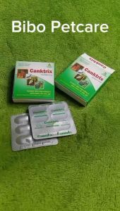 Viên uống CANKTRIX - Vấn đề loét miệng ở bồ câu chim cảnh gà - Bibopetcare