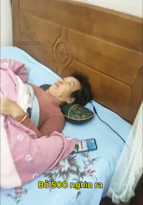 Gối ngải cứu sưởi ấm bằng điện đa chức năng gối cổ nhung gối ngải cứu làm ấm giảm đau nhứt cổ vai gáy gối thảo dược ngải cứu