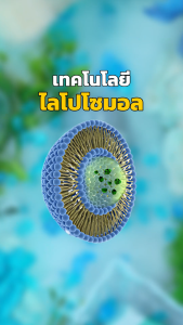 ไลโปโซมอล แมกนีเซียม Liposomal Magnesium (Mg) Liposovit®-Mg ผลิตภัณฑ์เสริมอาหารตราบีแอลบี (BLB)