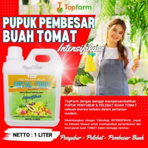 Pupuk Buah Super Lebat & Obat Semprot Hama Daun Tomat
