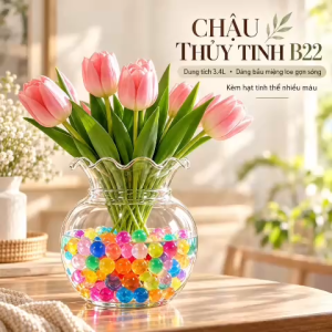 Chậu Cắm Hoa Thủy Tinh B22 Dáng Bầu Miệng Bèo Kèm Hạt Tinh Thể Trang Trí