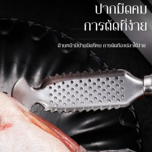 เครื่องขูดเกล็ดปลาแบบขิง ใช้งานง่าย สะดวก สเตนเลส เครื่องไสกระเพาะปลา เครื่องมือสำหรับครัวเรือน ไม่ทำให้มือเจ็บ