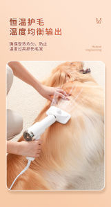 [SG Stock] Pet Grooming Dryer/Pet Hair Comb/2in1 Pet Hair Dryer/Hair Removal Comb