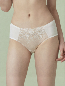 Gainreel | Lace High-Quality Comfort Cotton Underwear
