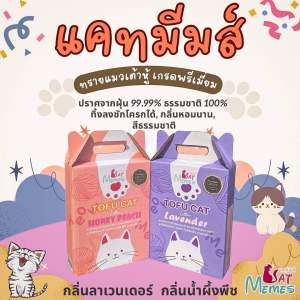 ทรายแมว แคทมีมส์ cat memes