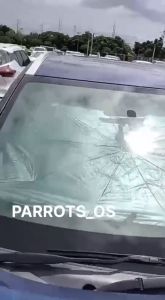 Car Windshield Sunshade Umbrella UV Cover Foldable Sun Shade Front Window Chrome Interior Protection Heat Insulation