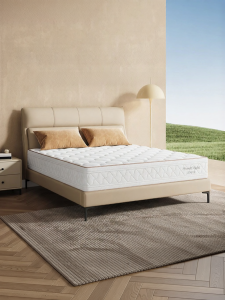 Natural Import Latex Spring Mattress Dual Sleeping Feel