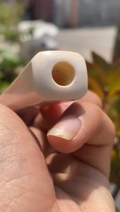 Pipa Gading Asli Lokal GG 12cm Segilapan Tebal Semilengkung Mulus