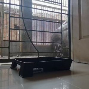 Bak Cat Kuat Tahan pecah perlengkapan cat renovasi rumah
