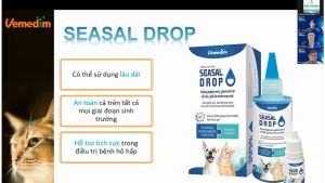 Nhỏ mũi Seasal Drop ngăn ngừa viêm mũi dị ứng cho chó mèo