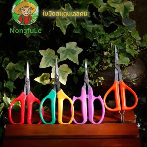 Professional Gardening Scissors Multi-Purpose Fruit Pruning & Floral Arranging