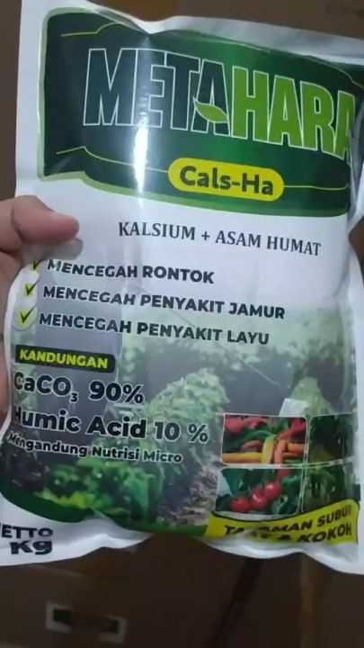 1 KG METAHARA Pupuk Kalsium Tanaman Atasi Bulai Jagung, Hawar Daun Jagung, Karat Daun Jagung, Busuk Pangkal Batang Jagung, Penyakit Tungro Jagung, Penyakit Lecah Daun, Penyakit Bercak Daun Jagung,