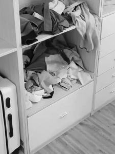 PVC Transparent Storage Basket for Clothes Underwear Storage Box Stainless Steel Frame Wardrobe Organizer Waterproof Cloth Box