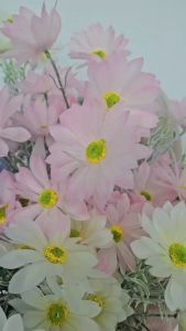 Bunga Artificial Aster Rustic Spring k4 Hias