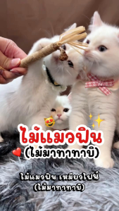 ไม้แมวฟิน Meow Fine จากธรรมชาติ ไม้มาทาทาบิ ขัดฟัน น้องเหมียวแฮปปี้